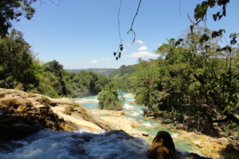 Palenque – 2012